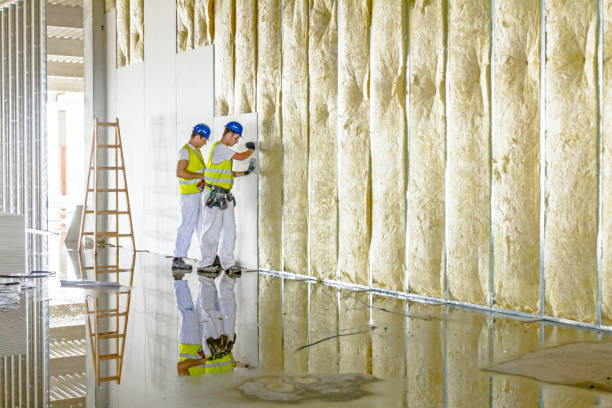 Best Geographic-Specific Insulation Services in Spring Valley, WI